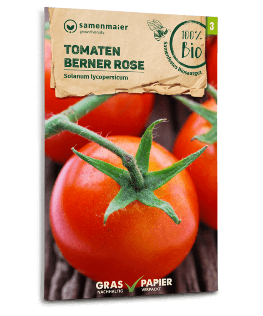 Bio Tomaten Berner Rose (Fleischtomate)