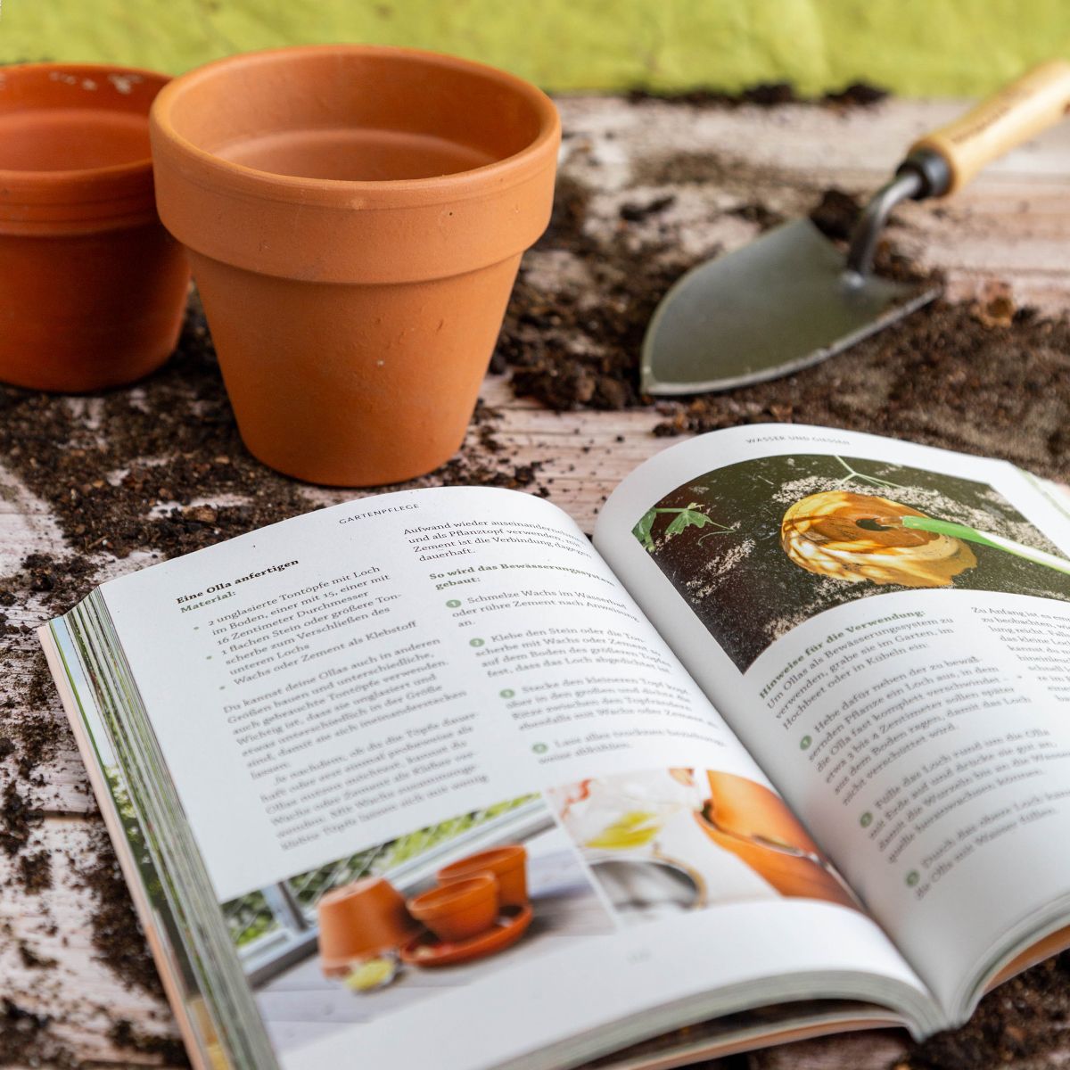 Heiße Sommer, grüne Gärten A10957